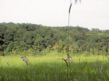 �x�R�J�n�i�^�`�M�{�E�V�j