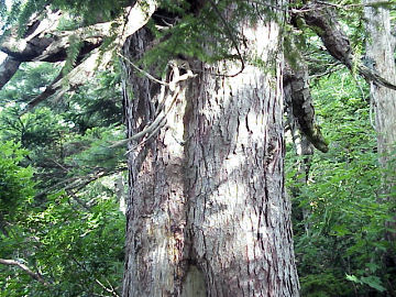 �x�R�J�n�i�L�^�S���E�j