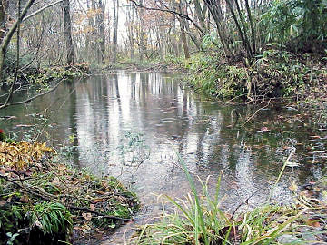 ���쥎֑򎼌�