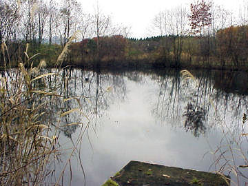 ���쥎֑򎼌�