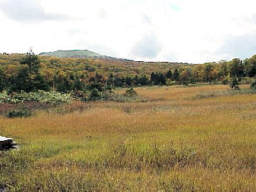 ���J�n�ƏĎR