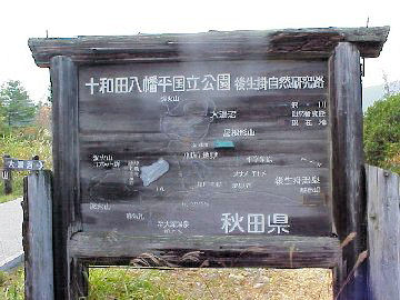 �㐶�|����t��