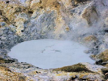 �����n��