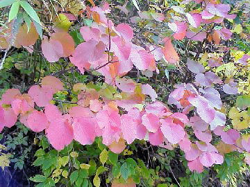 �㐶�|����t��