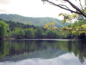 ���p�̒r��������Ɛ�������