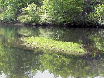 �����̕���