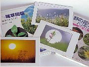 �G�������΂�ł���