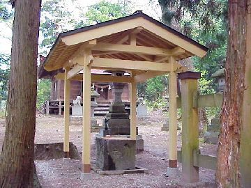 �����_�Ў萅��