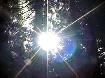 �@���̐���