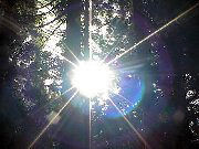 �@���̐���