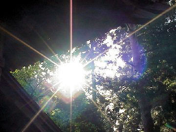 �_�̓� �_�C�W�F�X�g