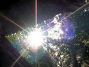 �_�̓� �_�C�W�F�X�g