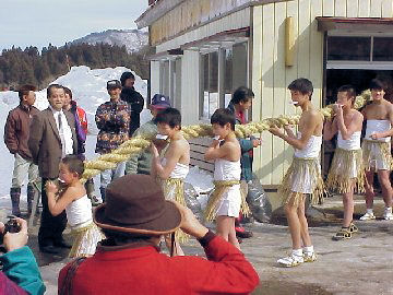 �y�[�䗇�Q��