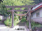 �����_��