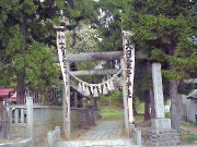 �����M�_��