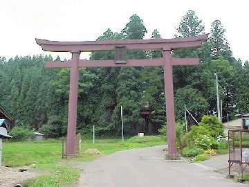 �����_��