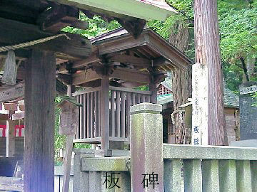 �����M�_��