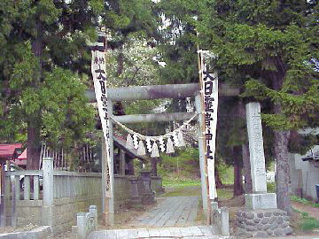 �����M�_��