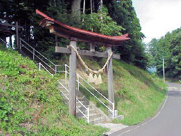 �����_��