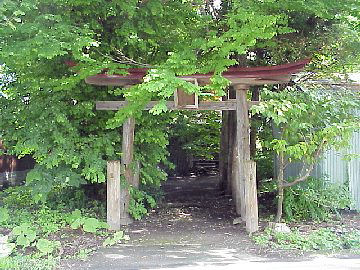 �����_��