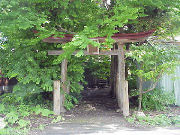 �����_��