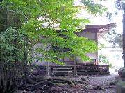 �����_��