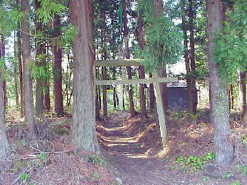 ���V�_��