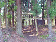 ���V�_��