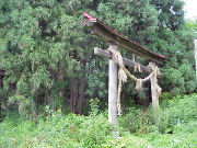 �����_��