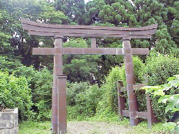 �����_��