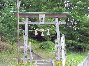 �����_��