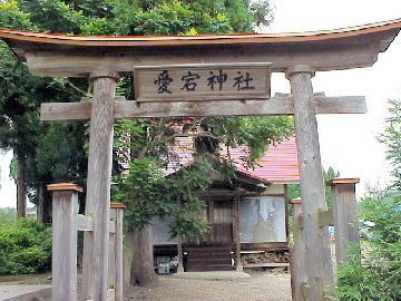 �����_��