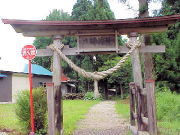 �����_��