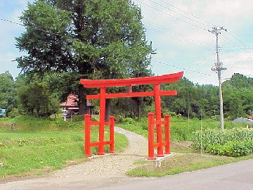 �����_�Ёi���q��j