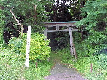 �����R�_��