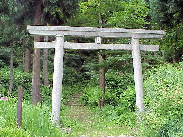 �����_��