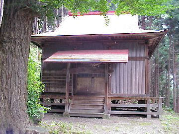 �����_��