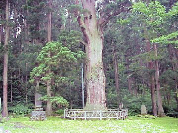 ��~���̖吙