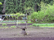 �͑���Õ��̌��n�ʐ^