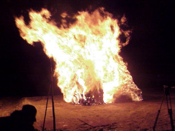 �{�약�̃I�W�i�I�o�i