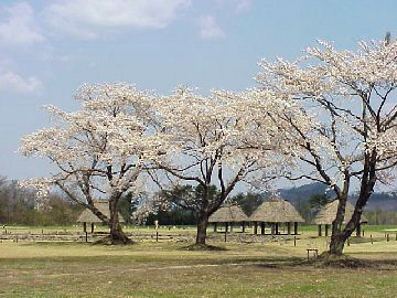 ��������