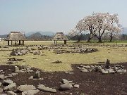 ��������