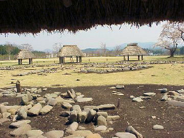 ��������