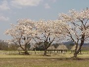 ��������