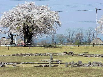 �쒆������