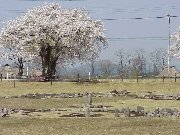 �쒆������