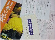 �_�Ж����A����K�g