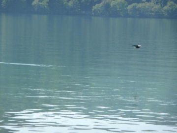 �\�a�c�΁i�H�c���j