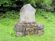 ���n���s�}�V��