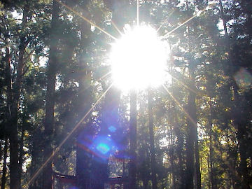 ���ڐ����_�Ћ���